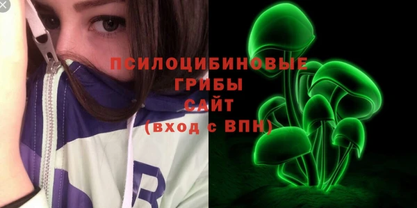 гидра Ханты-Мансийск