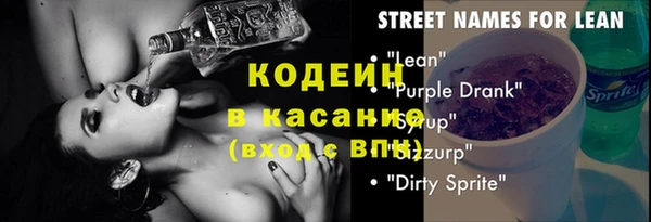 2c-b Бородино