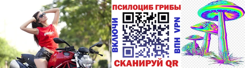 Галлюциногенные грибы MAGIC MUSHROOMS  Луховицы 