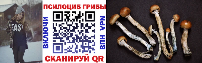 Псилоцибиновые грибы GOLDEN TEACHER Луховицы